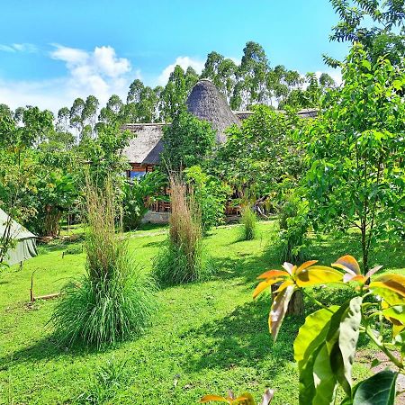 Chimpanzee Capital Safari Lodge Bigodi Exterior photo