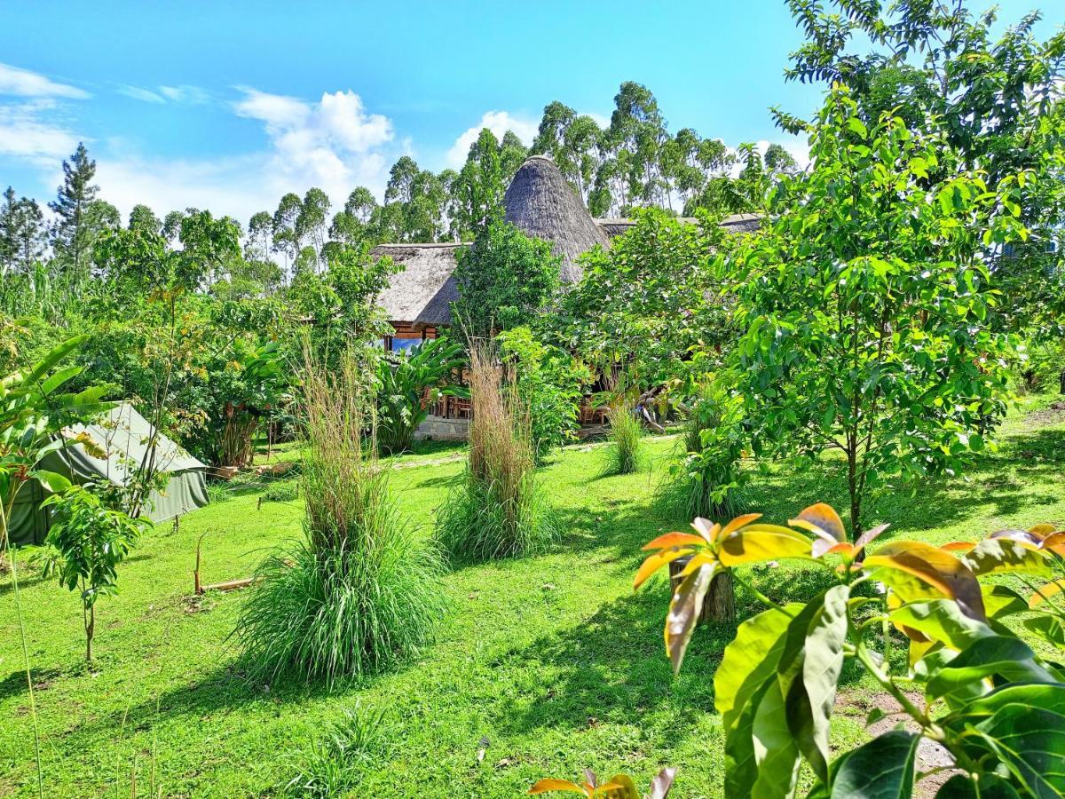 Chimpanzee Capital Safari Lodge Bigodi Exterior photo