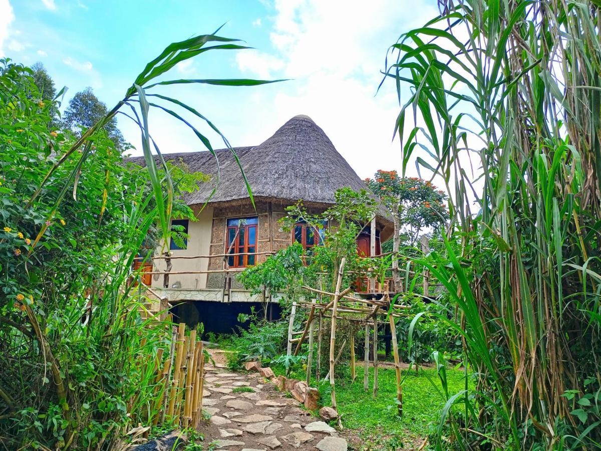 Chimpanzee Capital Safari Lodge Bigodi Exterior photo