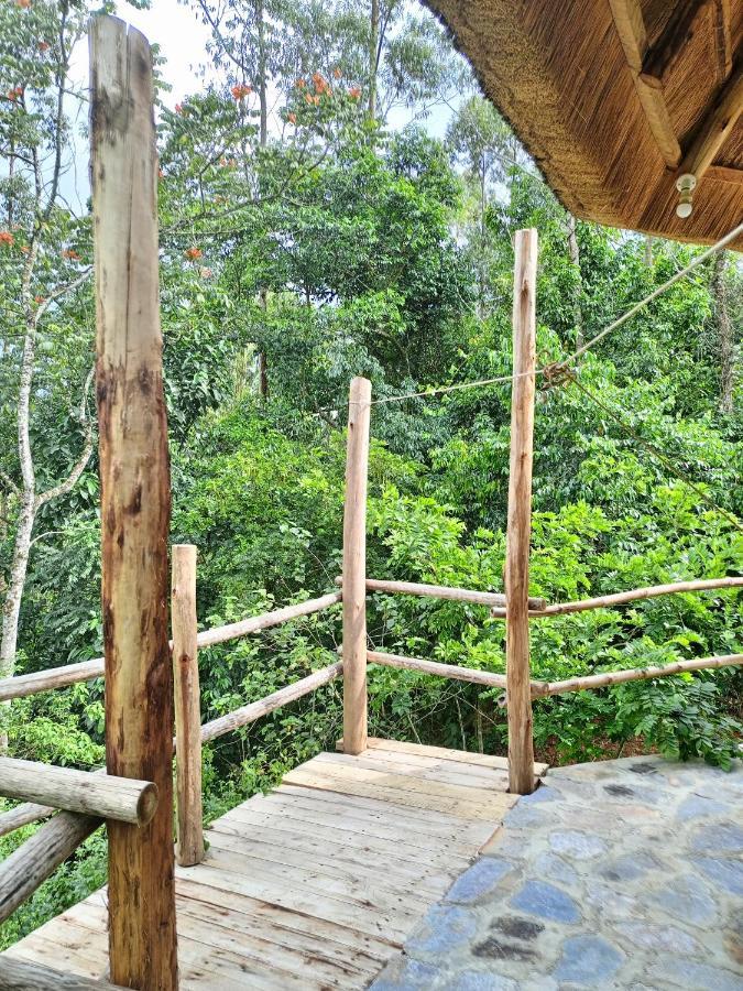 Chimpanzee Capital Safari Lodge Bigodi Exterior photo