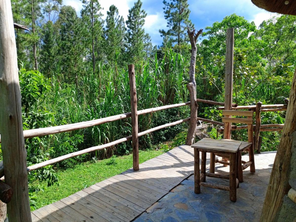 Chimpanzee Capital Safari Lodge Bigodi Exterior photo