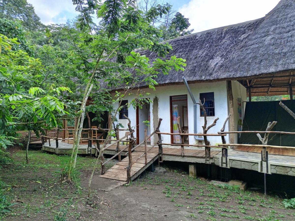 Chimpanzee Capital Safari Lodge Bigodi Exterior photo