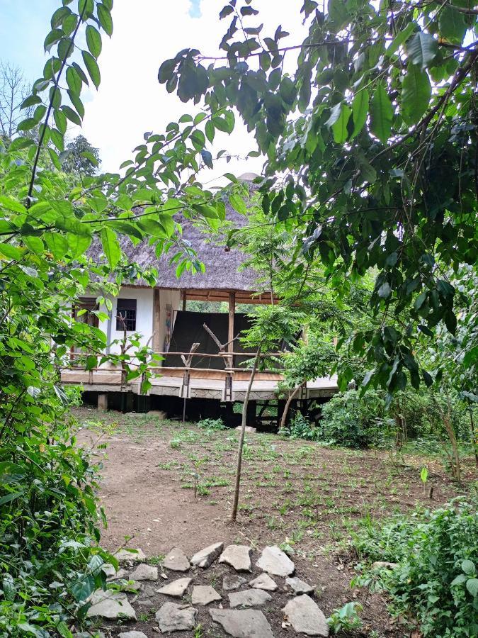 Chimpanzee Capital Safari Lodge Bigodi Exterior photo