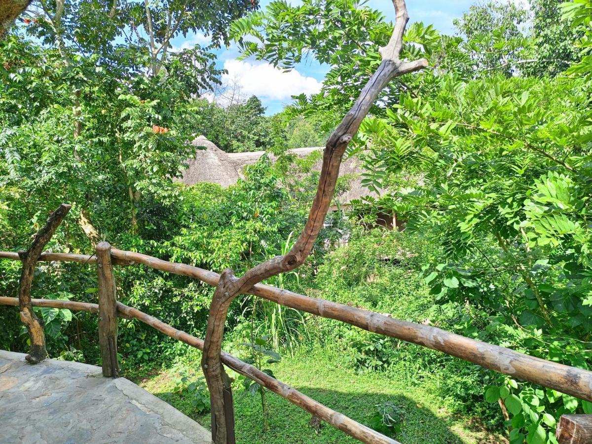 Chimpanzee Capital Safari Lodge Bigodi Exterior photo